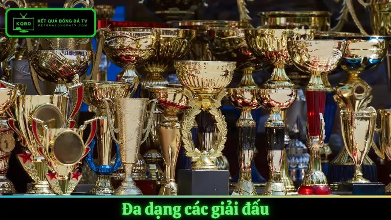 Bảng xếp hạng đa dạng các giải đấu