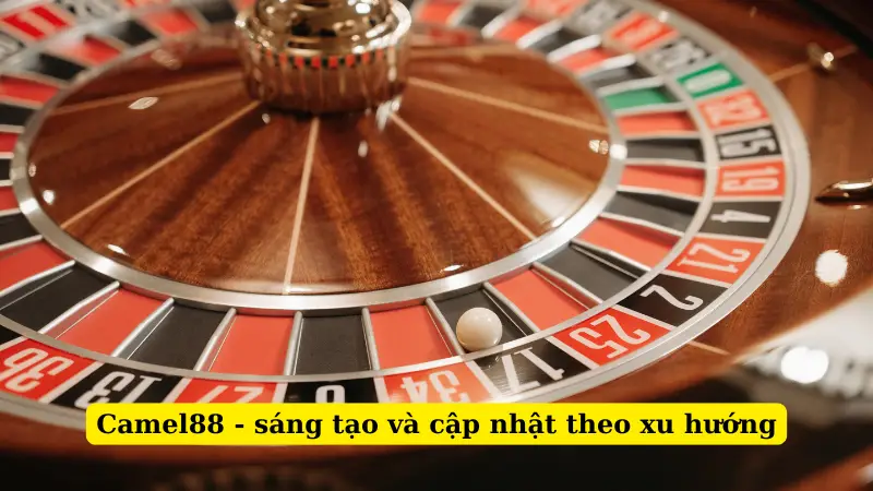 Camel88 - sáng tạo và cập nhật theo xu hướng